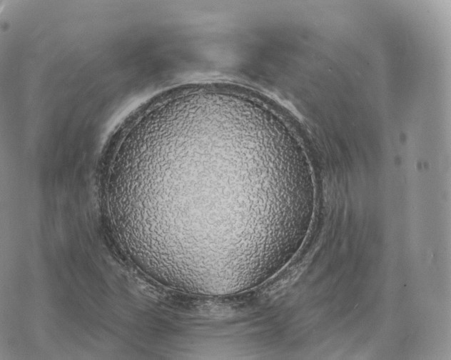 X0000072971311200608111706