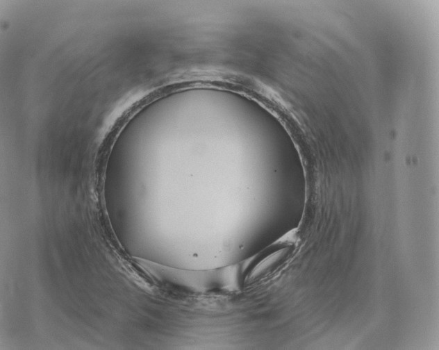 X0000072971312200608111706