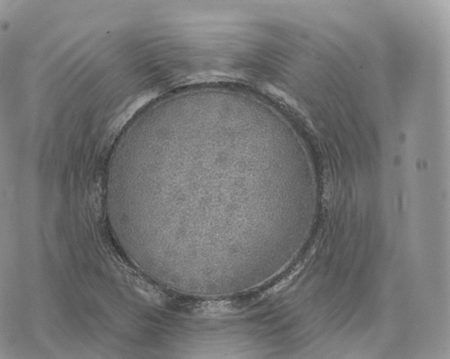 X0000072971313200608111706