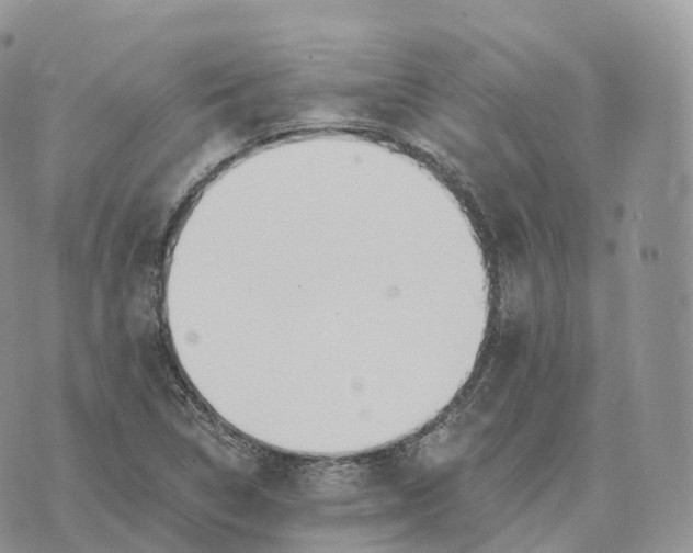 X0000072971314200608111706