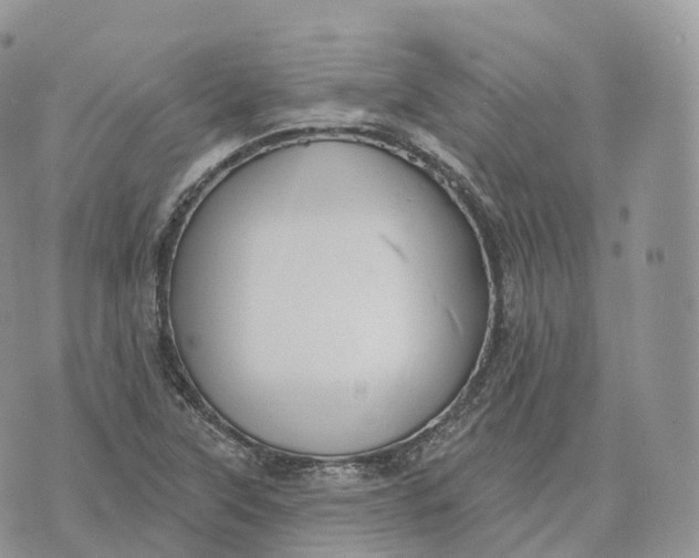 X0000072971315200608111706