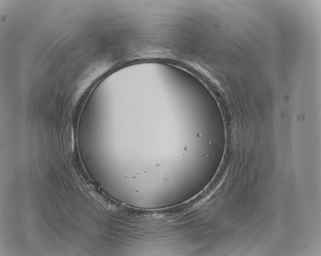 X0000072971317200608111706