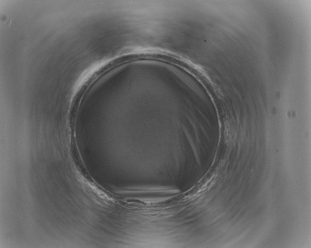 X0000072971319200608111706