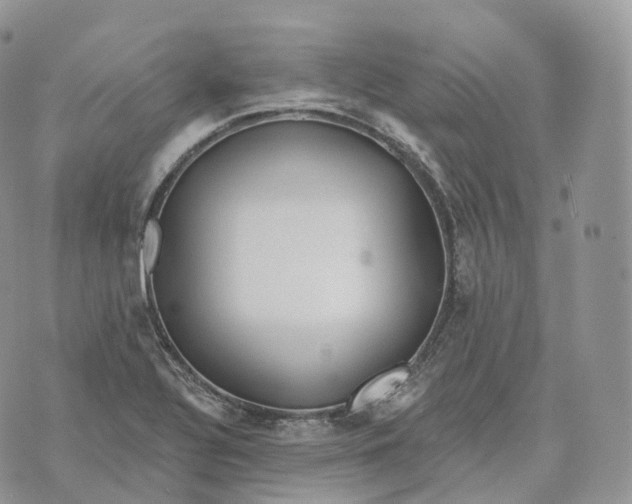 X0000072971320200608111706