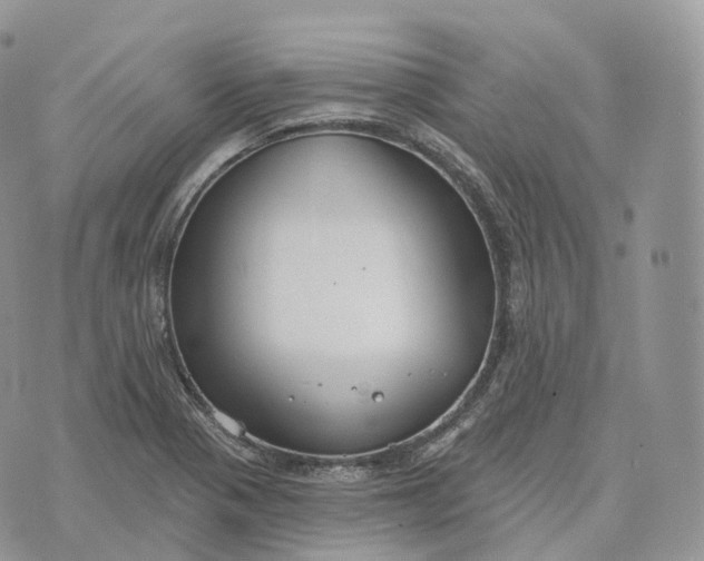 X0000072971321200608111706