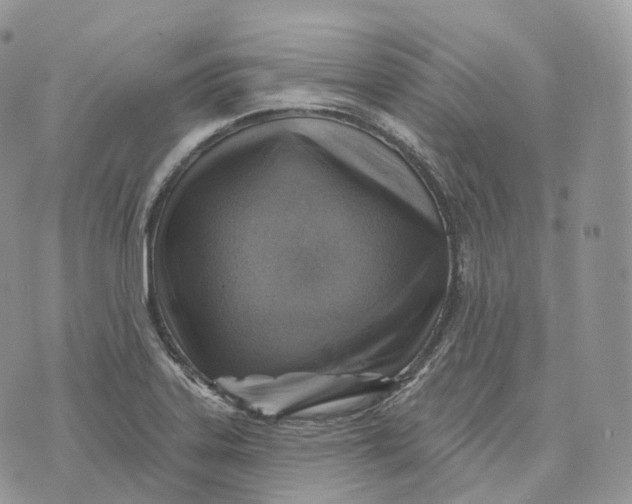 X0000072971323200608111706