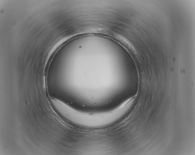 X0000072971324200608111706