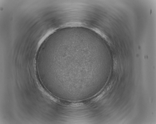 X0000072971325200608111706