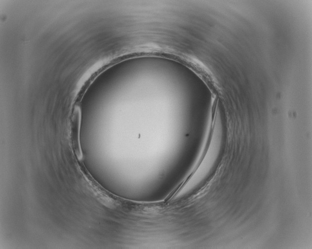 X0000072971326200608111706