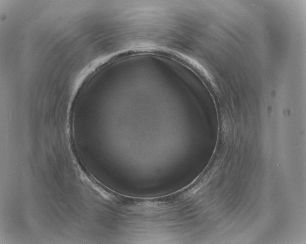 X0000072971327200608111706