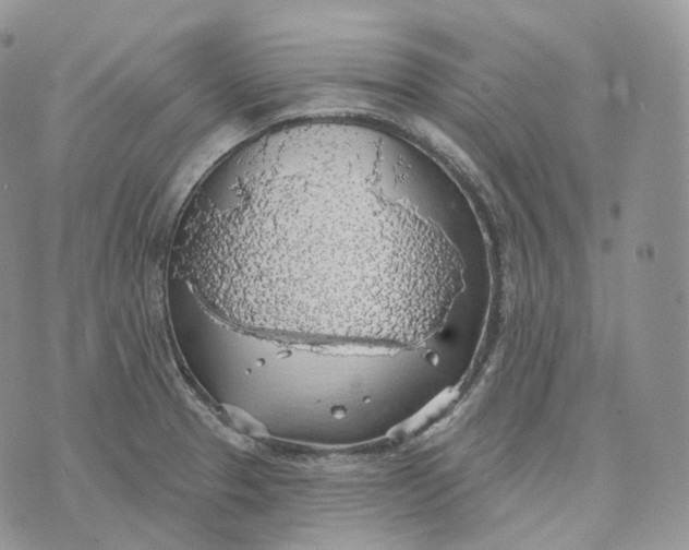 X0000072971329200608111706