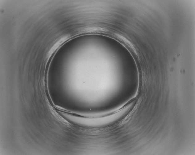 X0000072971330200608111706