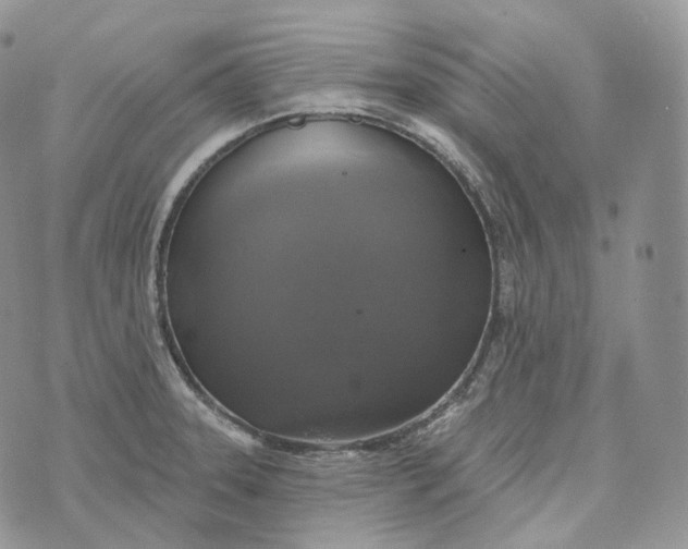 X0000072971331200608111706