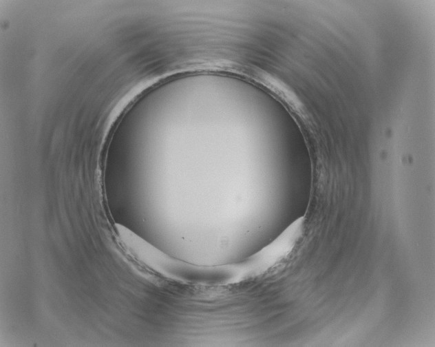 X0000072971332200608111706