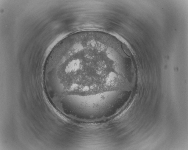 X0000072971333200608111706