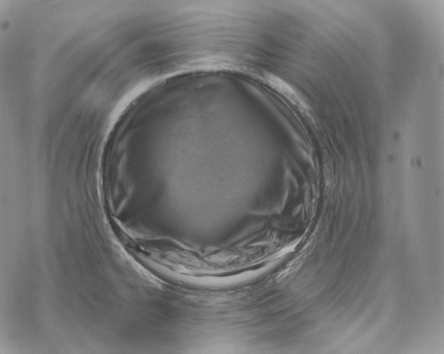 X0000072971334200608111706