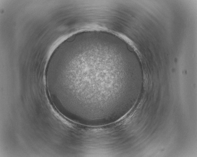 X0000072971335200608111706