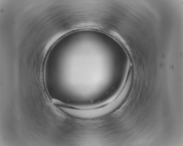 X0000072971336200608111706