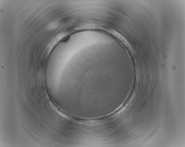 X0000072971337200608111706