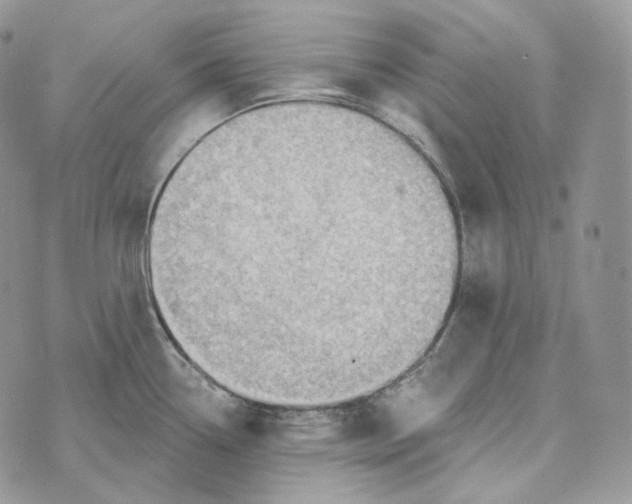 X0000072971338200608111706