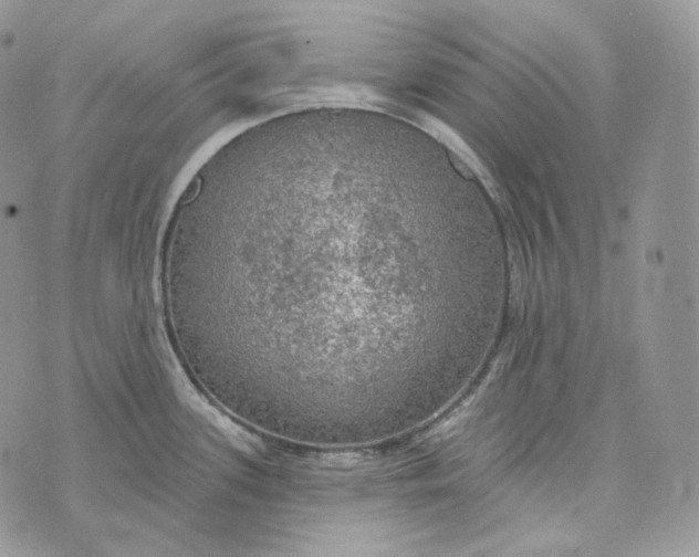 X0000072971339200608111706