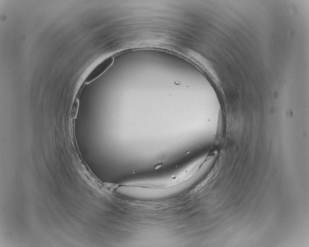 X0000072971340200608111706