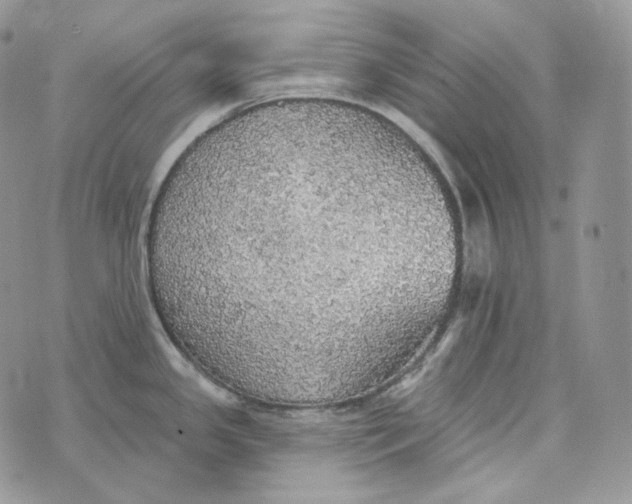 X0000072971341200608111706