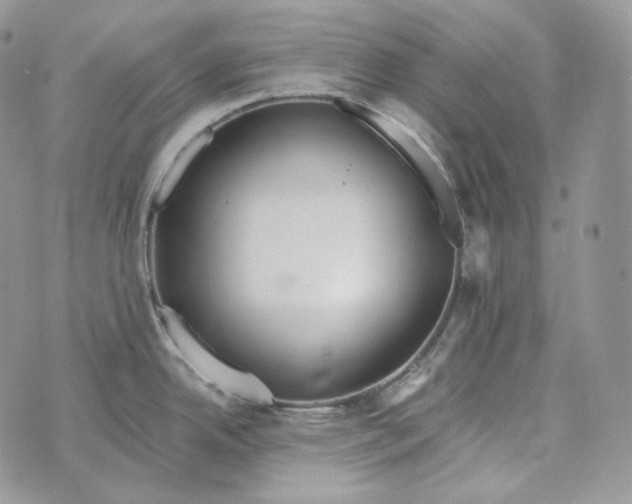 X0000072971342200608111706