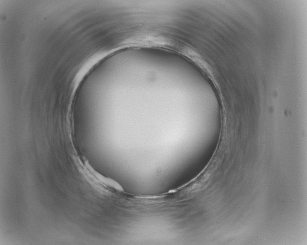 X0000072971344200608111706