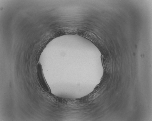 X0000072971345200608111706