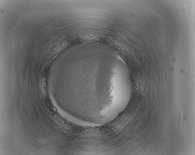 X0000072971346200608111706