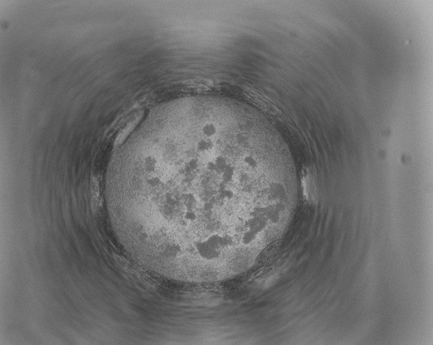 X0000072971347200608111706