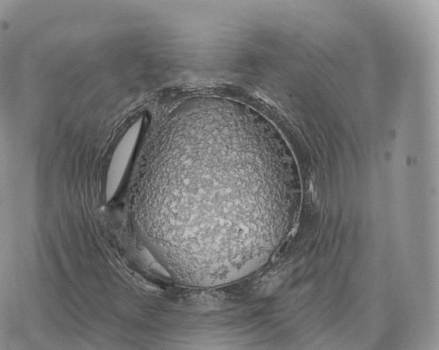 X0000072971348200608111706