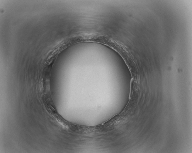 X0000072971349200608111706