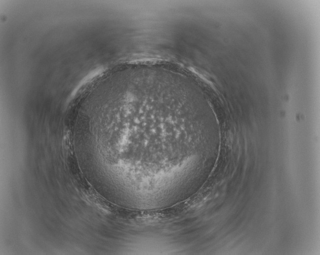 X0000072971351200608111706