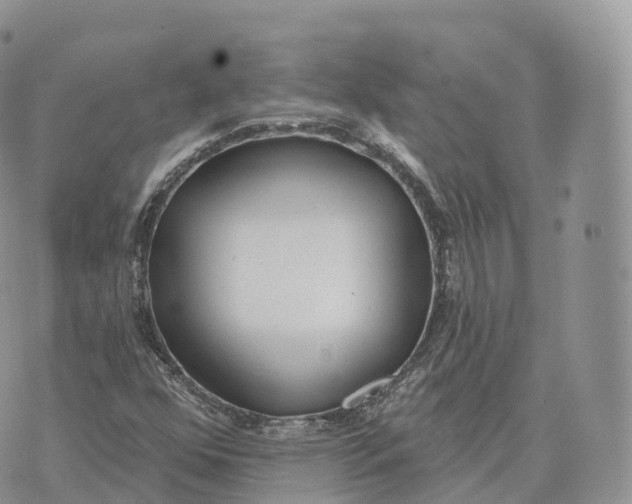 X0000072971352200608111706