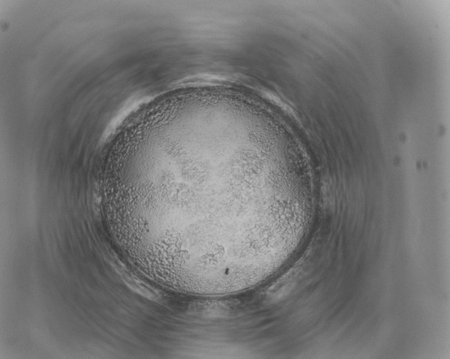 X0000072971355200608111705