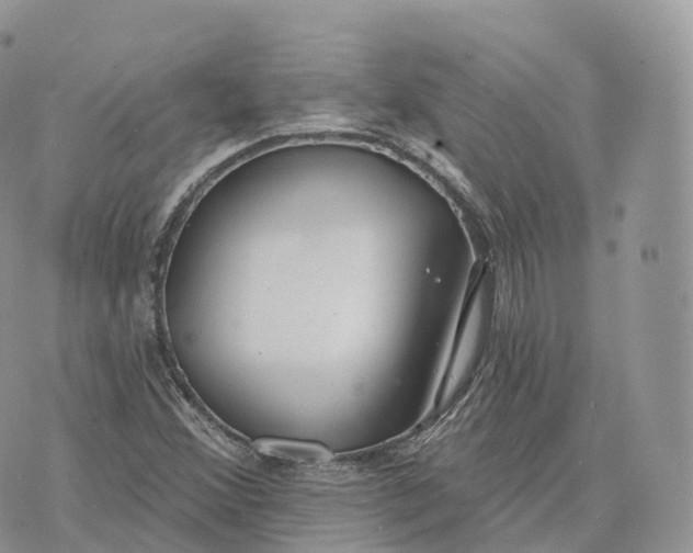 X0000072971356200608111705