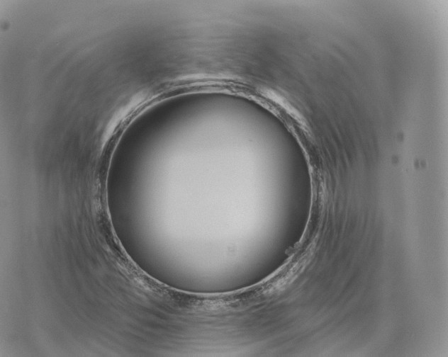 X0000072971357200608111705