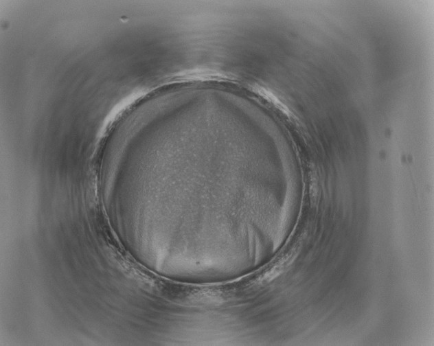 X0000072971358200608111705