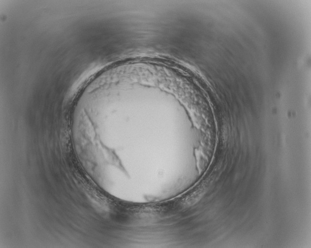 X0000072971359200608111705