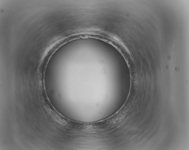 X0000072971360200608111705