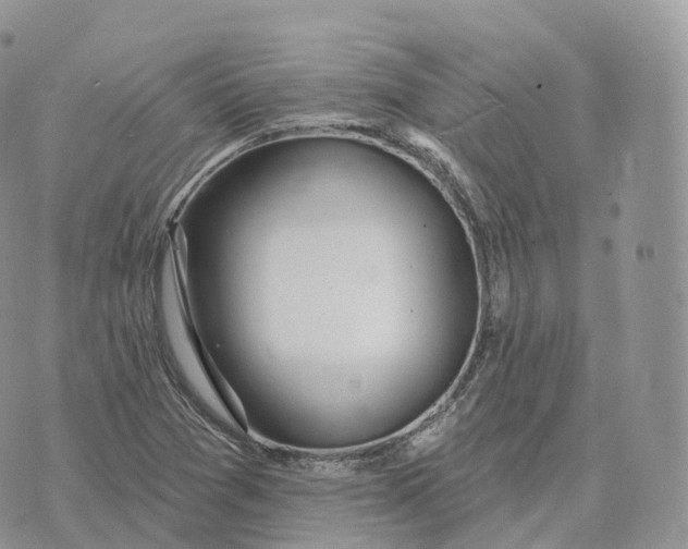 X0000072971361200608111705