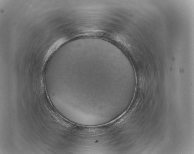 X0000072971362200608111705