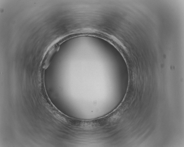 X0000072971364200608111705