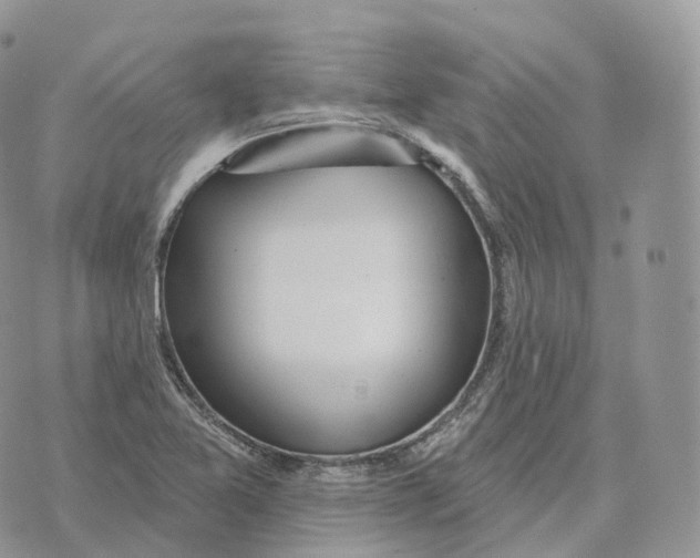 X0000072971365200608111705