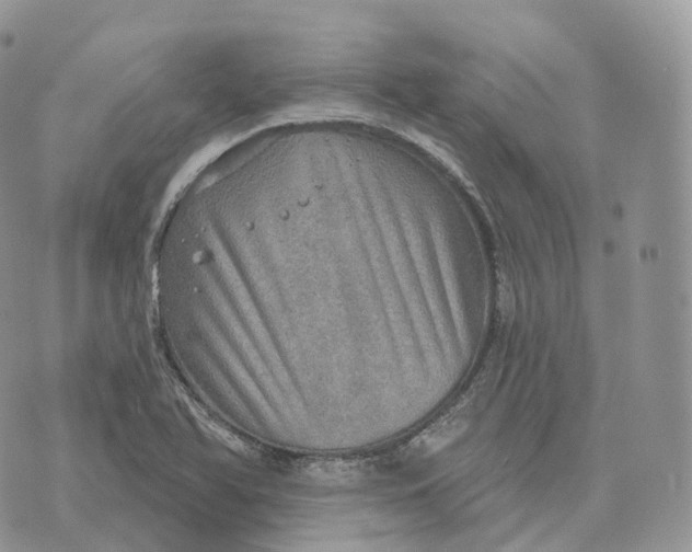 X0000072971366200608111705