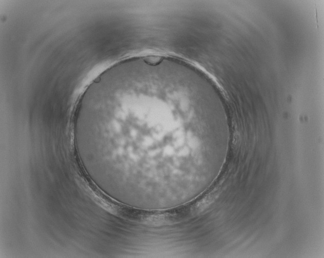 X0000072971367200608111705