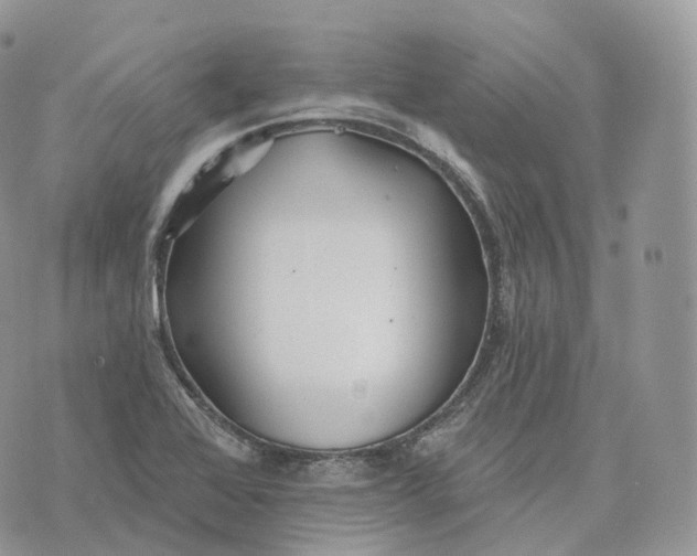 X0000072971368200608111705