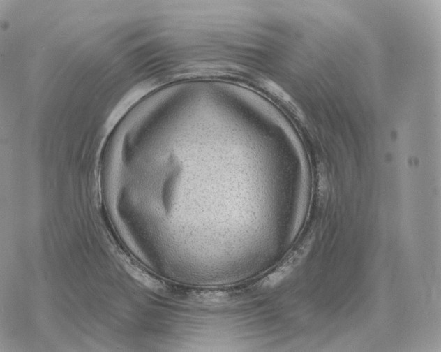 X0000072971370200608111705